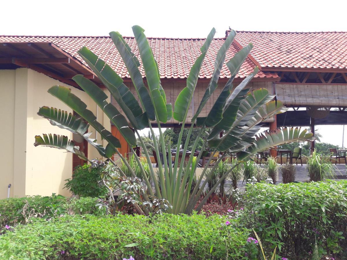 Marind Dive Eco Resort Waha Ngoại thất bức ảnh