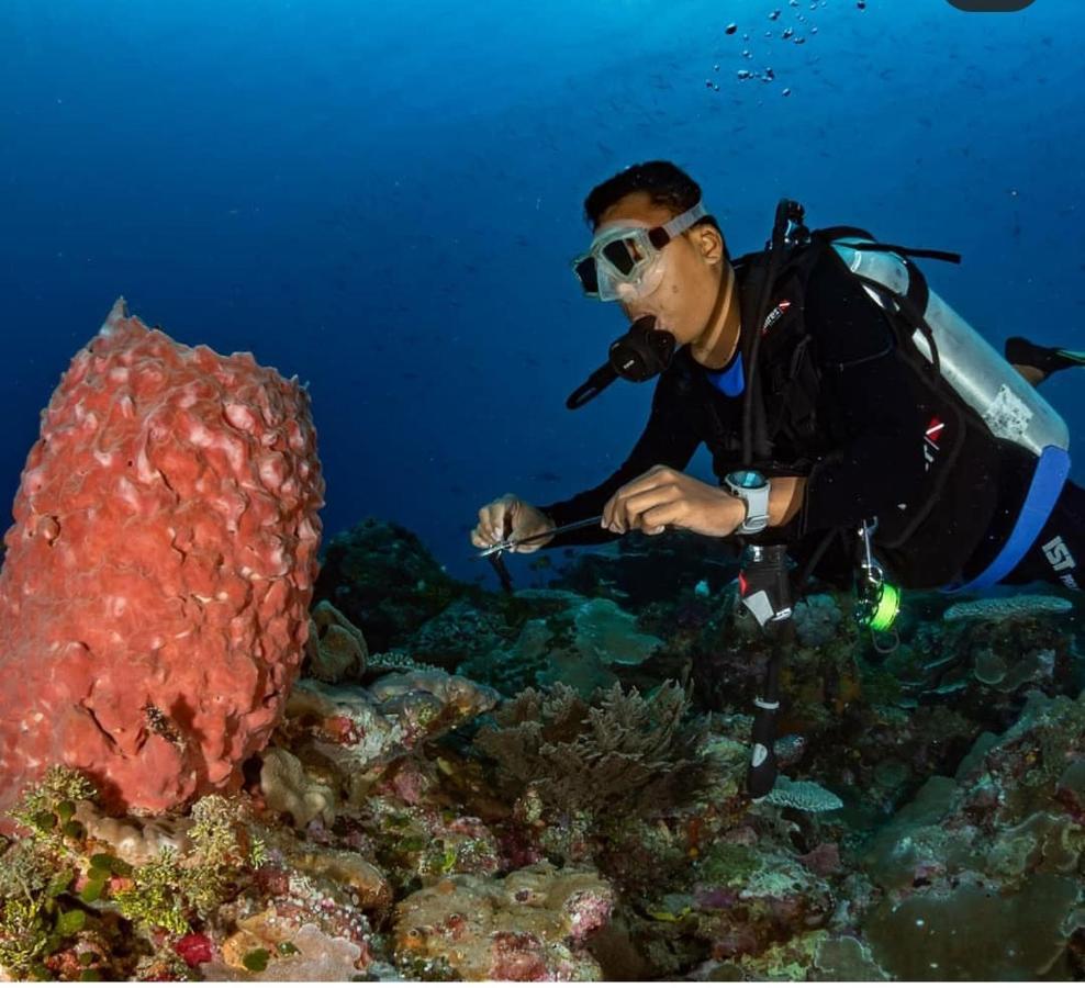 Marind Dive Eco Resort Waha Ngoại thất bức ảnh